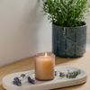 Lavender Fields, Beachcombing Glass Candle