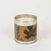 Fig Tree, Scented Tin Candle