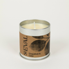 Grapefruit & Lime, Scented Tin Candle