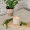 Bay & Rosemary, Kitchen Herb Pot