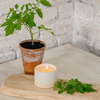 Green Vine, Kitchen Herb Pot