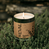 Thyme & Mint, Scented Tin Candle