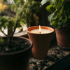 Bergamot & Nettle, Large Pot