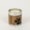 Wild Gorse, Scented Tin Candle