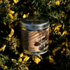 Wild Gorse, Scented Tin Candle