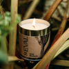 Wild Rhubarb, Scented Tin Candle