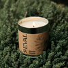 Winter Thyme, Scented Tin Candle